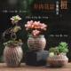 Pastoral set succulent flowerpot ceramic retro