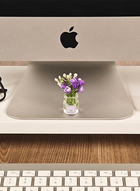 ins风桌面摆件小清新花朵装饰品办公室工位情绪稳定治愈系小饰品