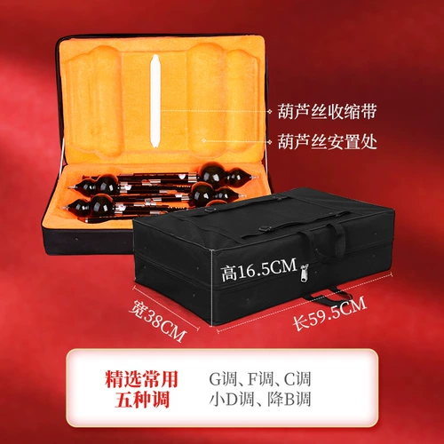 Сандаловый и махоганский 5 -х костюм Профессиональный подготовка