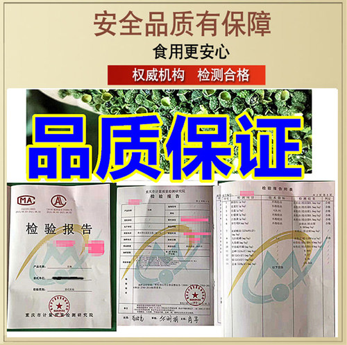 今年新货青花椒粒青麻椒干手选过筛产地四川重庆汉源商用批发 - 图2