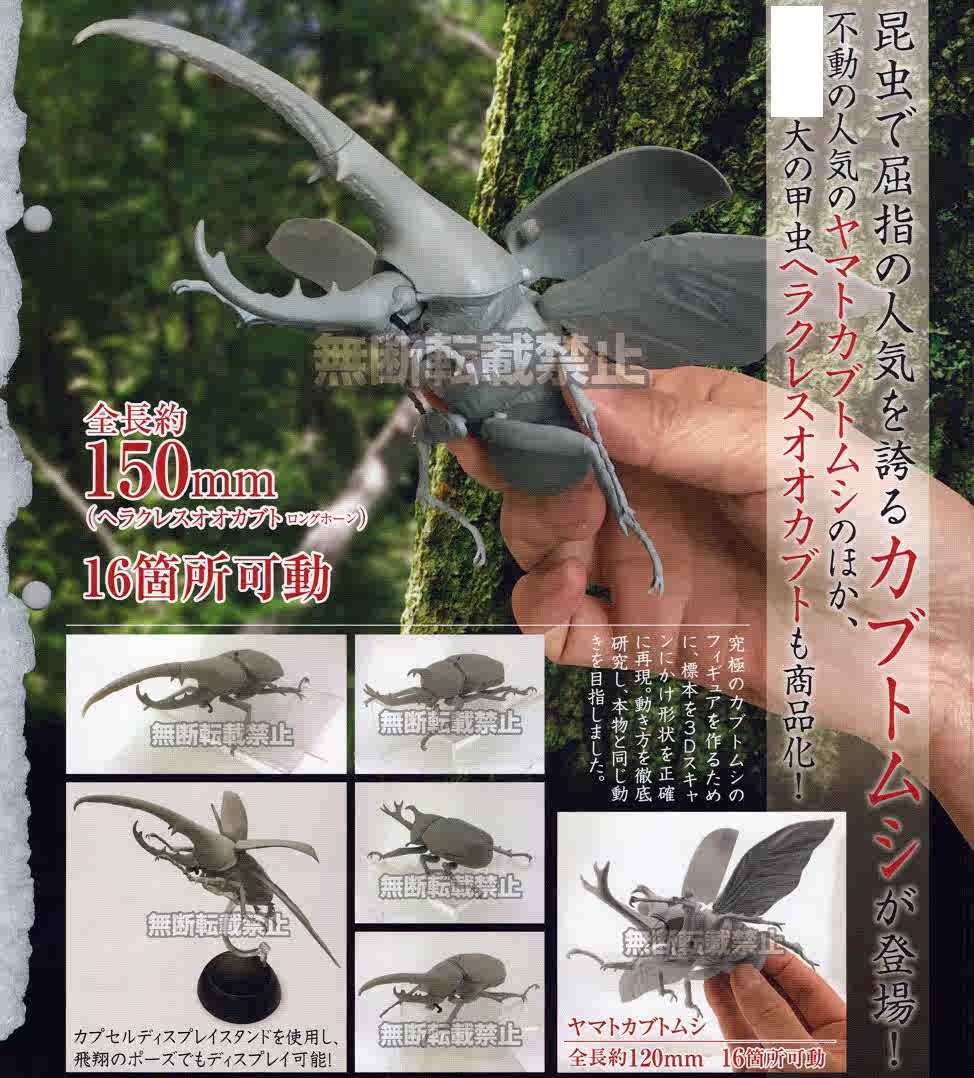 日本甲虫 新人首单立减十元 21年8月 淘宝海外