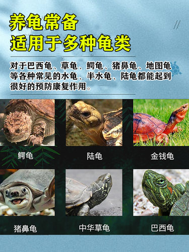 乌龟药  养龟眼药 专治 巴西龟中华草龟南石龟白眼病眼红肿发炎 - 图0