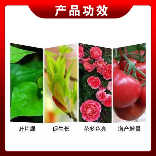 国光磷酸二氢钾 磷钾肥玉米水稻小麦花卉蔬菜果树植物通用叶面肥 - 图2