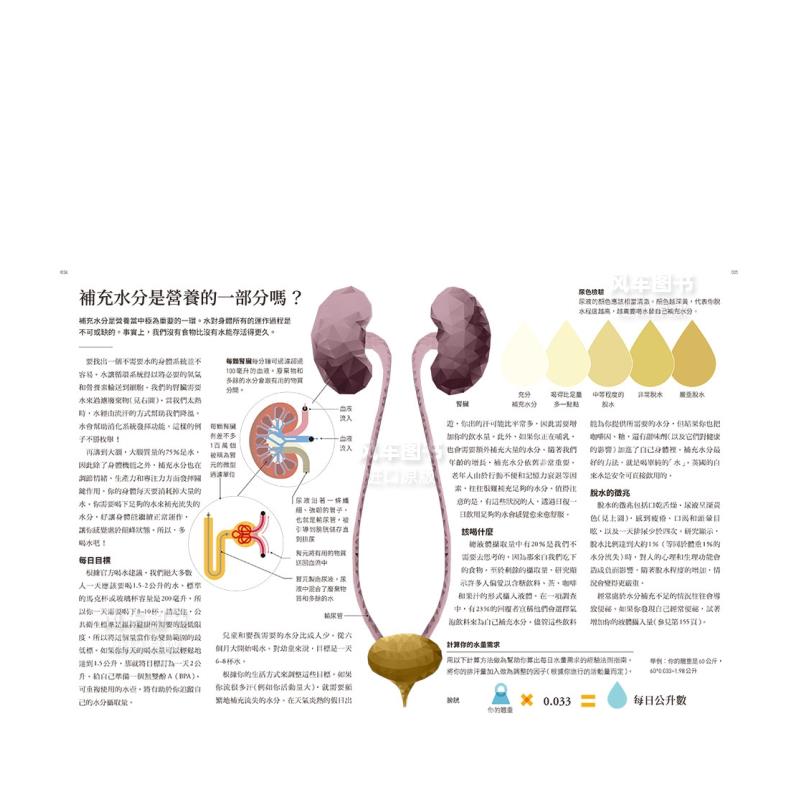 【预 售】营养的科学:175张科普图表,解析7大营养素、5大添加物,从断食到各式流行饮食法,从肠道健康到各族群层的饮食策略,英国顶 - 图2