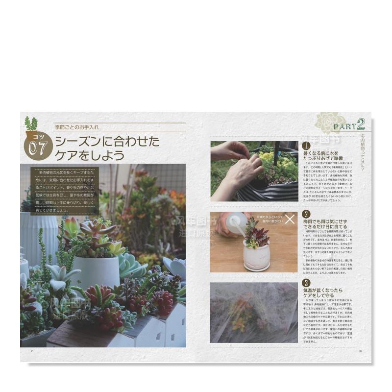 【现货】TOKIIRO 多肉植物BOOK 寄せ植え、飾り方のアイデアTOKIIRO的多肉植物书日文原版摄影集进口图书书籍 - 图3