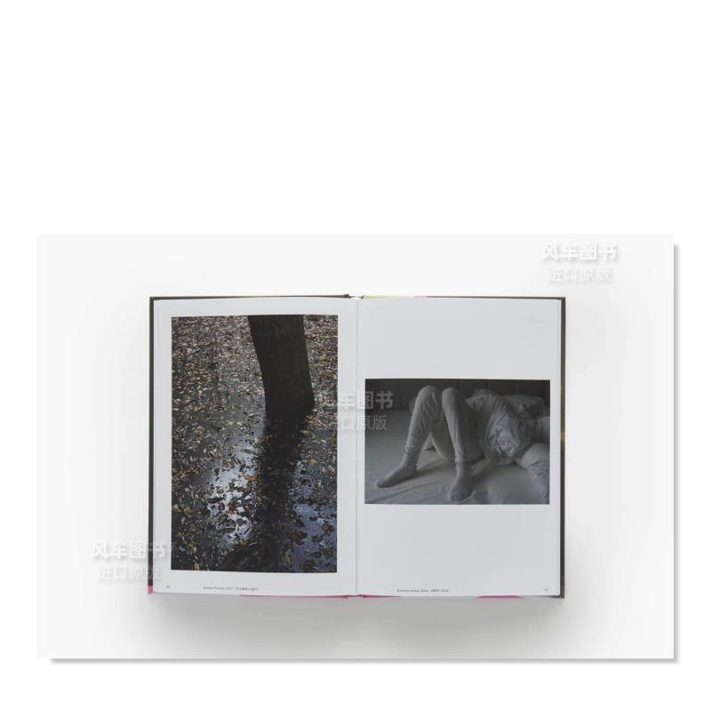 【现货】沃尔夫冈·提尔曼斯: 卓纳香港图册 WOLFGANG TILLMANS : DZHK BOOK 2018进口原版摄影集图书书籍 - 图3