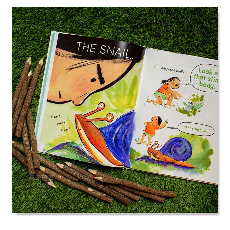 【现货】对不起,蜗牛 Sorry, Snail 英文儿童绘本原版图书外版进口书籍 Tracy Subisak - 图2