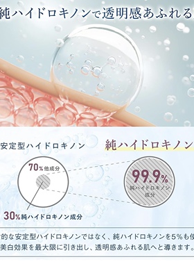 日本本土LANTELNO植物精华多效合一美容液10g氢醌霜
