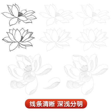 工笔画白描底稿描摹本上下2册花卉植物禽鸟动物零基础线条练习-图1