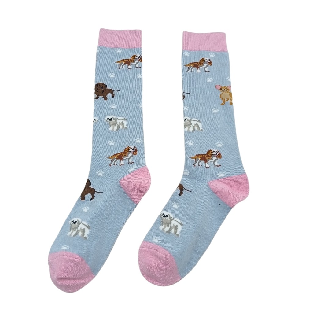 日单  浅色系可爱俏皮小狗图案宽袜口春秋款小腿袜,淘宝优惠券,粉丝福利购,淘宝优惠卷