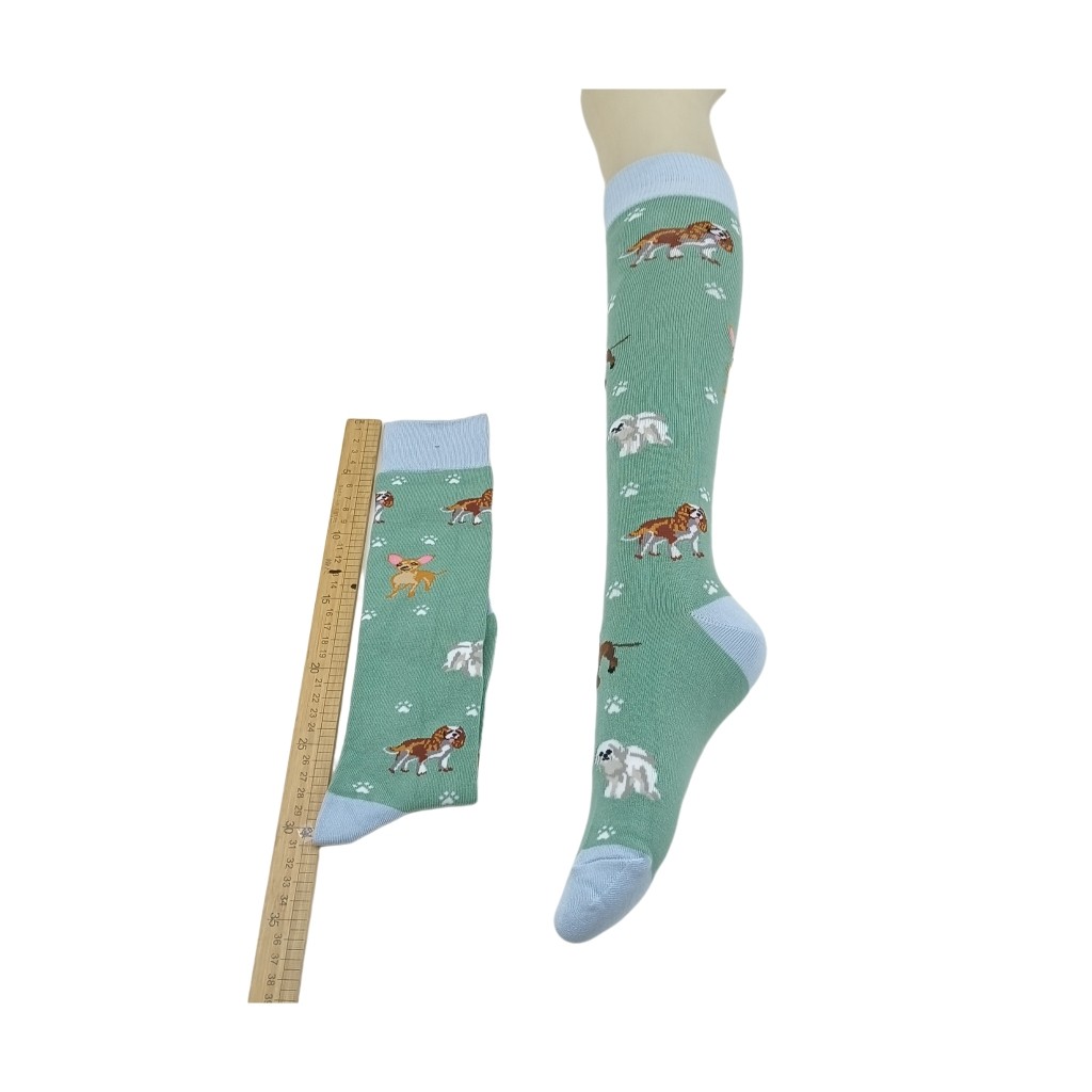 日单  浅色系可爱俏皮小狗图案宽袜口春秋款小腿袜,淘宝优惠券,粉丝福利购,淘宝优惠卷