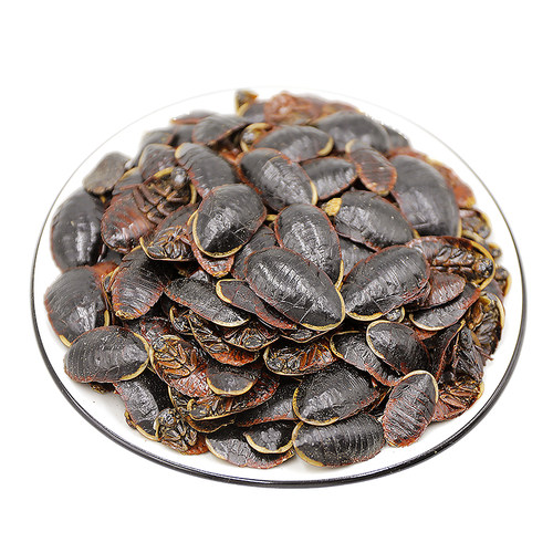 金边土鳖虫中药材金边土元500g克精选双边土鳖虫地乌龟土别虫土必 - 图3