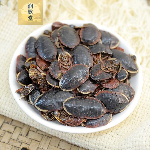 金边土鳖虫中药材金边土元500g克精选双边土鳖虫地乌龟土别虫土必 - 图2