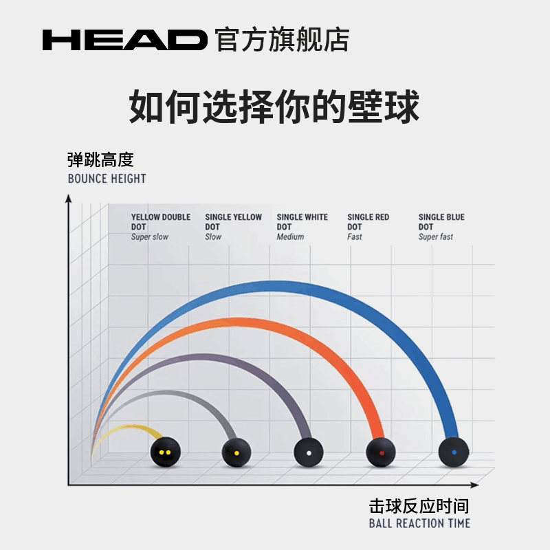 HEAD海德壁球初学者训练球专业比赛壁球球单白点单黄点双黄点壁球 - 图1