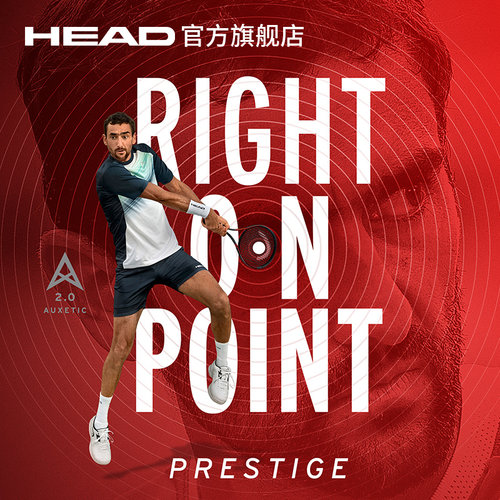 HEAD海德西里奇碳纤维专业全碳素网球拍初学者大学生PRESTIGE2023 - 图2