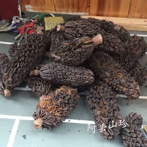 广西金秀大瑶山传统滋补品其他农家土特产厚朴果干货食材一斤包邮 - 图3