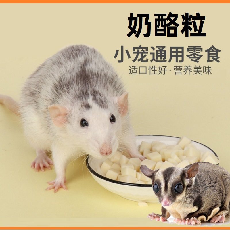 蜜袋鼯仓鼠金丝熊花枝鼠营养奶酪粒零食芝士粒补充营养蛋白,淘宝优惠券,粉丝福利购,淘宝优惠卷