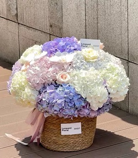 【勿忘我专用花篮】北欧风草编花盆可用于diy收纳及客厅阳台装饰