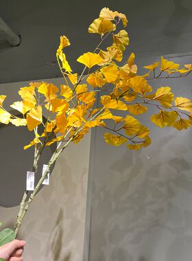 黄色绿色银杏叶长枝花瓶插花