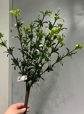 手感软胶把束草七里香造景小绿植