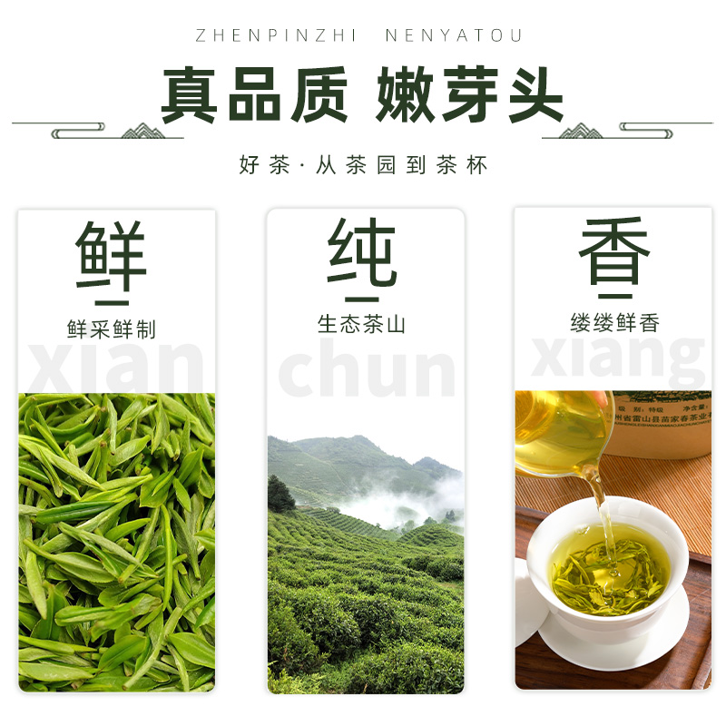 雨前绿茶2023新茶特级浓香耐泡贵州雷公山苗家春清明茶100克袋装