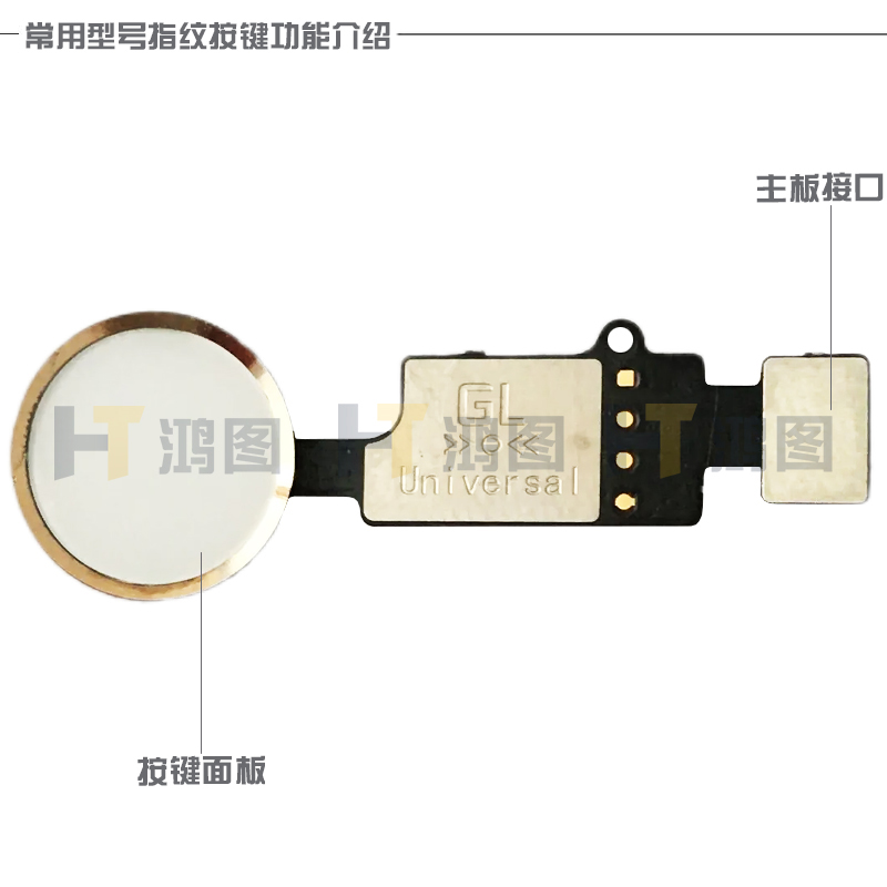 适用于苹果7/8Plus8代SE/2/3指纹返回Home按键感应识别模块排线 - 图2