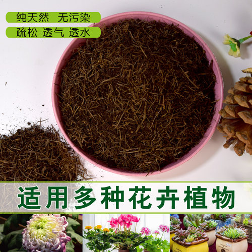 杜鹃茶花兰花卉营养土松针腐殖土酸性土腐叶土蓝莓土君子兰专用土 - 图0