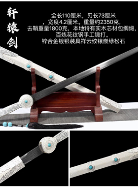 龙泉镇宅宝剑花纹钢汉剑唐横刀一体绣春雁翎刀剑古代冷兵器未开刃