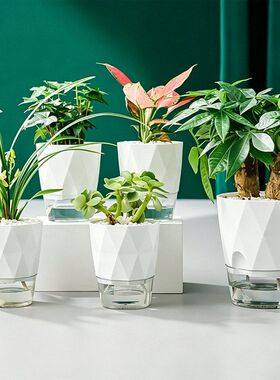 懒人自吸免浇水加厚塑料花盆