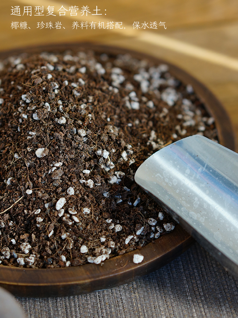 金钱虎须黄金姬菖蒲专用土天然有机多肉营养土种植物肥料泥炭黑土 - 图1