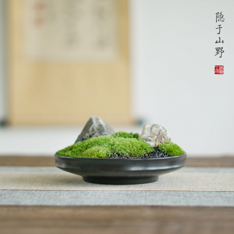 新中式日式禅意苔藓永生白发藓枯山水摆件书房办公桌茶几售楼处植,淘宝优惠券,粉丝福利购,淘宝优惠卷