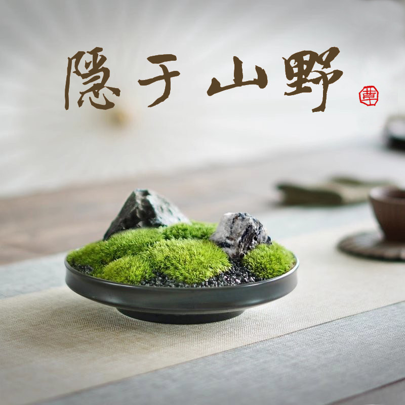 新中式日式禅意苔藓永生白发藓枯山水摆件书房办公桌茶几售楼处植,淘宝优惠券,粉丝福利购,淘宝优惠卷