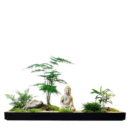 花雨听禅中式枯山水盆景组合盆栽文竹苔藓微景观菖蒲微型禅意茶室 - 图3