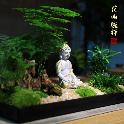 花雨听禅中式枯山水盆景组合盆栽文竹苔藓微景观菖蒲微型禅意茶室 - 图1