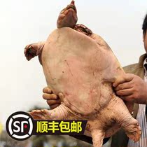 Go to the 23123123123.