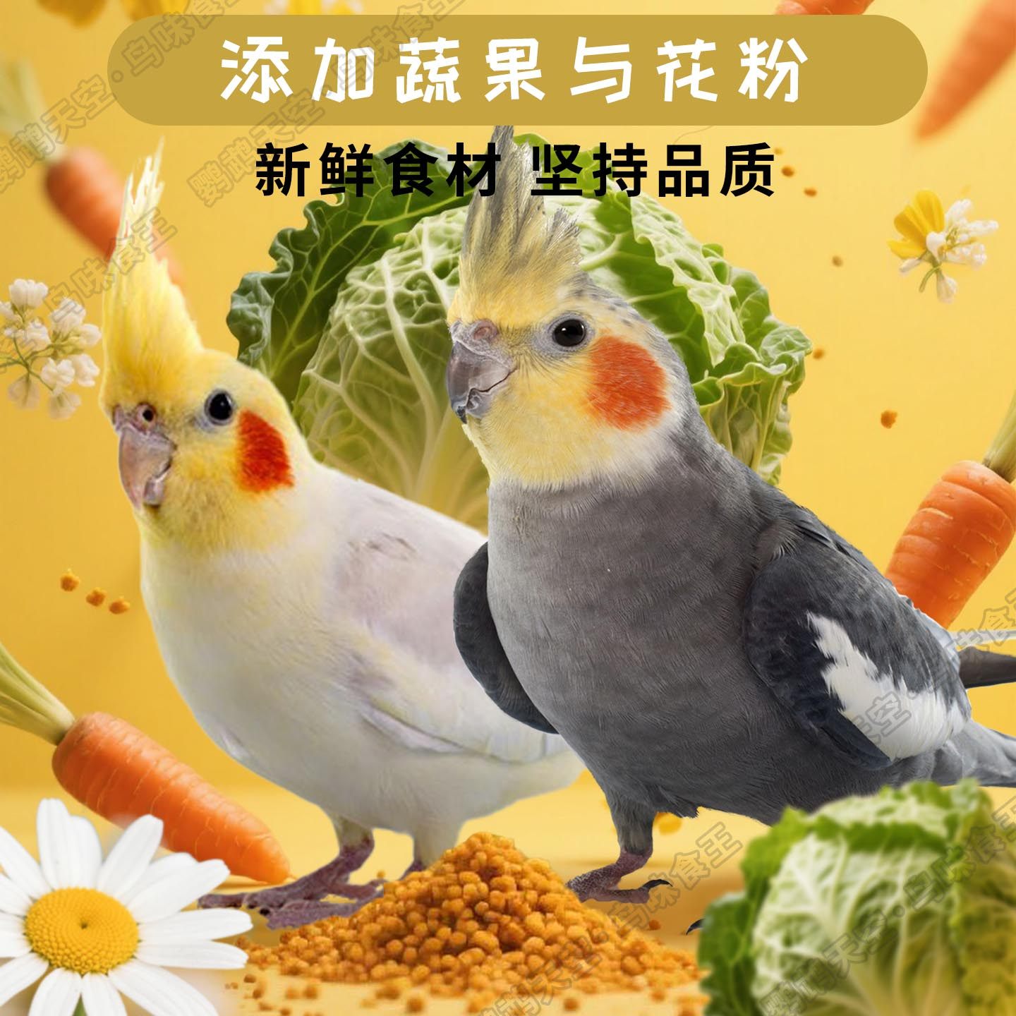 鹦鹉天空玄凤鹦鹉专用粮黄化白子鸡尾玄凤鹦鹉鸟食粮饲料5斤 - 图2