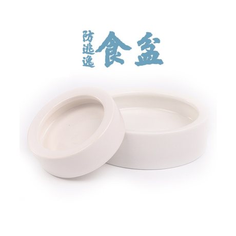 Zicra Element Reptile Anti Escape Food Basin Insect Barley Insect Dubia Anti Escape Food Basin Gecko Zicra Element Reptile Anti Escape Food Basin Insect Barley Insect Dubia Anti Escape Food Basin Gecko