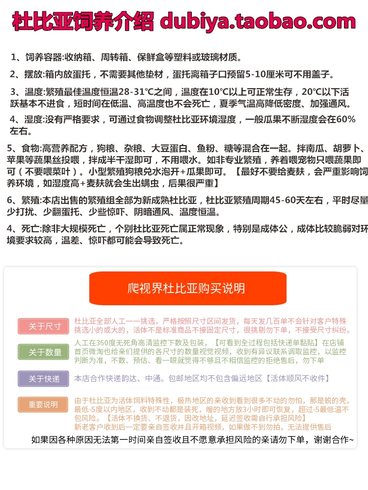 爬视界杜比亚蟑螂幼体成体蜥蜴鬃狮龙鱼仓鼠刺猬金丝熊画眉活饲料 - 图2