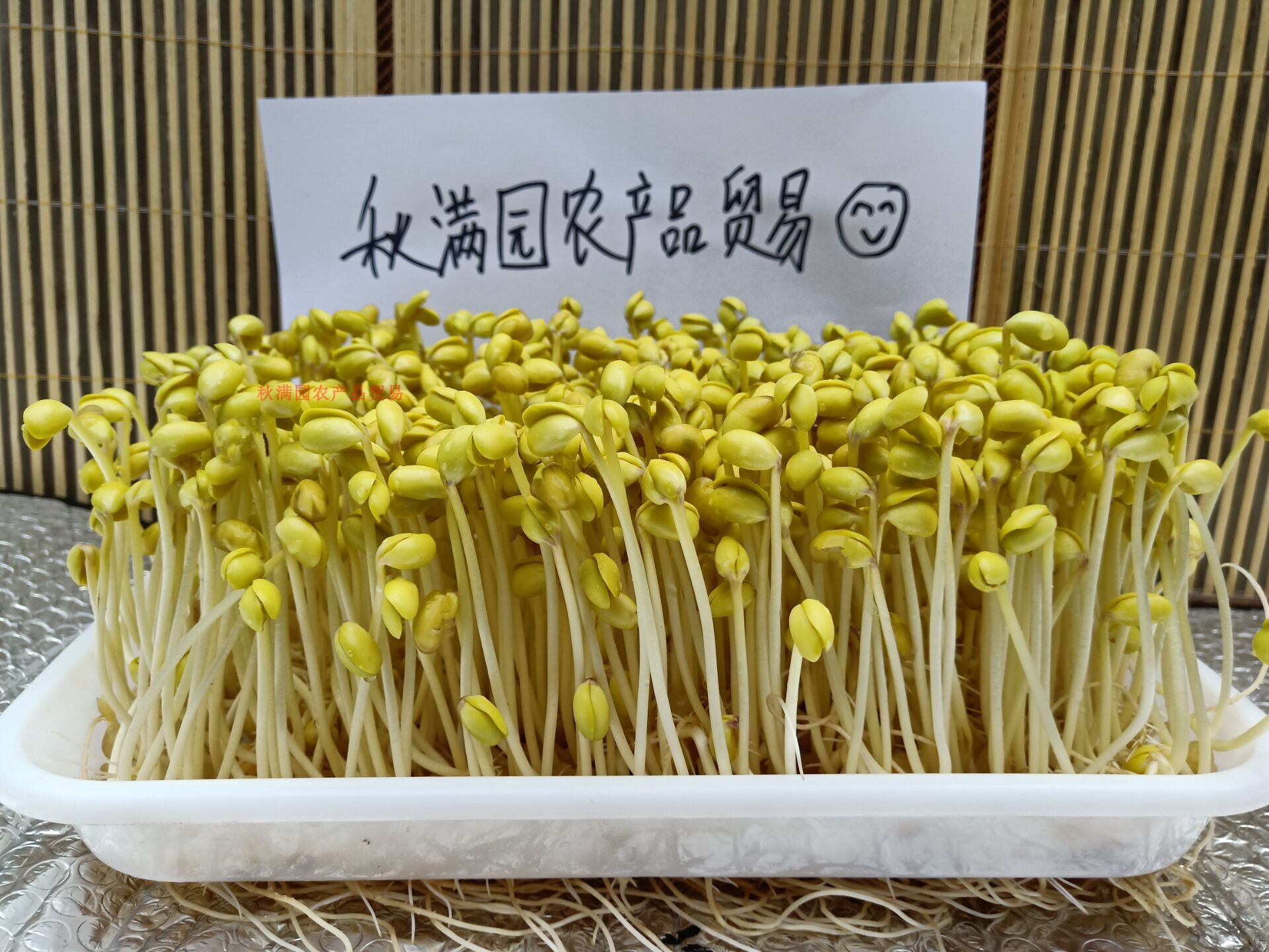 发豆芽黄豆生黄豆芽专用自种农家新豆种子打豆浆芽苗黄豆5斤包邮 - 图1