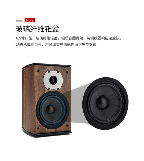 Jamo Regallautsprecher aus Holz, Stereo, HiFi