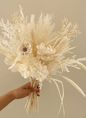 真花干花摆件家居样板间永生花真花花束ins拍照芦苇永生花艺压花