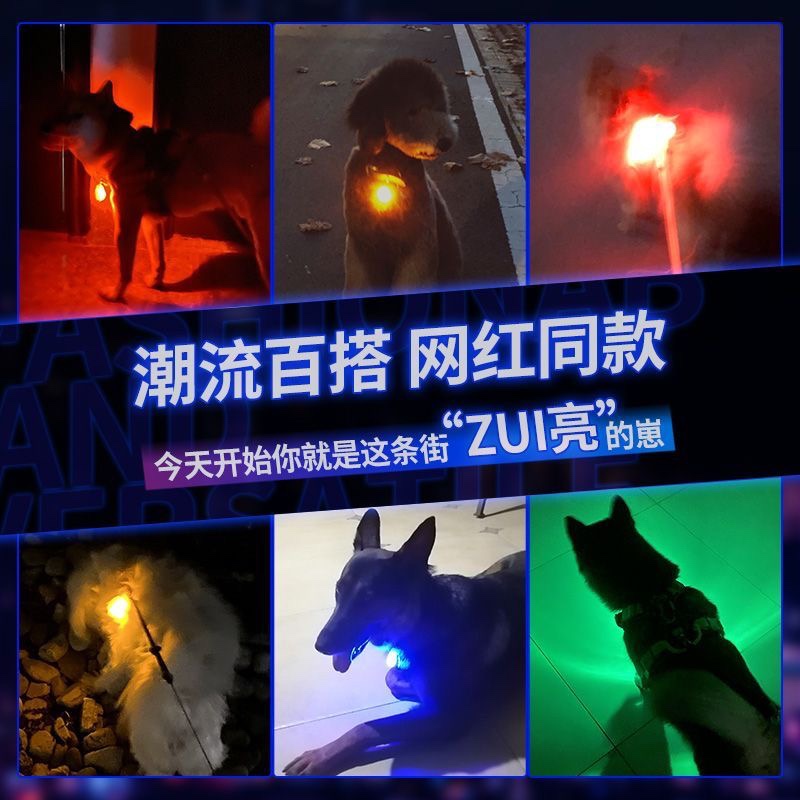 狗狗夜间发光吊坠晚上遛狗防走丢宠物项圈狗背发光led灯电池轻款-图1