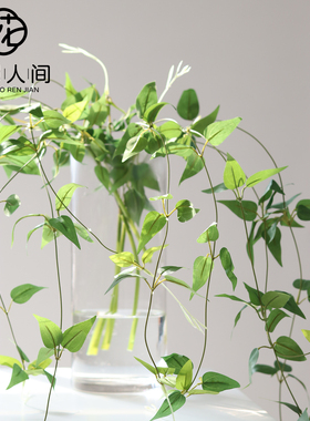 铁线莲叶仿真绿叶藤蔓绿植假花造景插花花材配花拍摄道具家居装饰