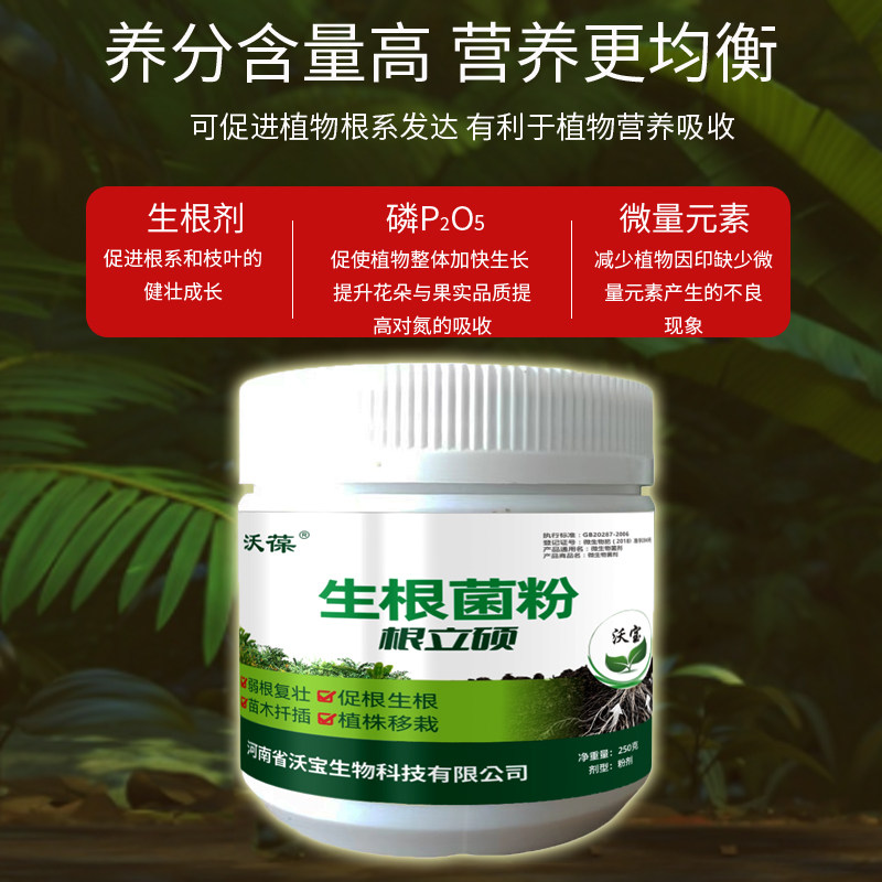 生根粉壮苗营养调节剂植物快速生根扦插专用移栽壮苗多肉营养液,淘宝优惠券,粉丝福利购,淘宝优惠卷