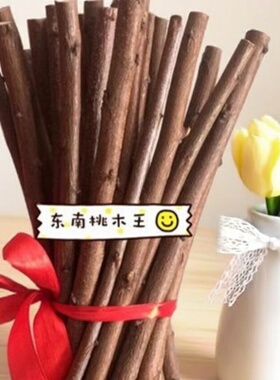 天然野生老桃树东南桃木枝桃木棍东南朝向桃枝宝宝儿童防惊护身