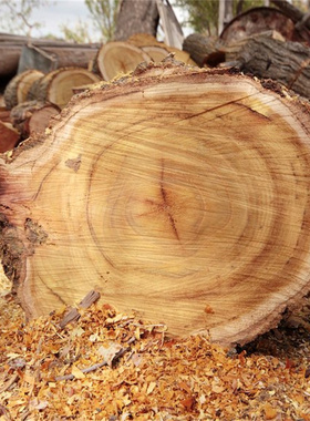 真老东南野生桃木树枝条干粗棒棍簪子原木料护身婴儿防惊吓跨火盆