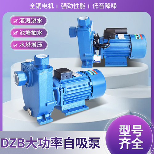 工业三相WZB大功率自吸泵单相DZB供水增压泵高扬程大流量循环泵 - 图0