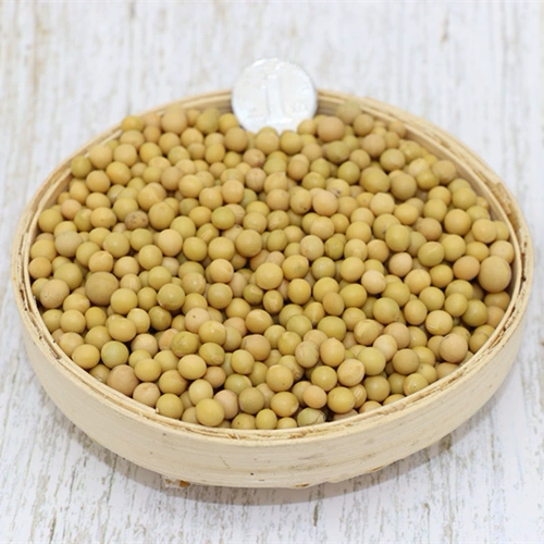 向南飞 Новое зерно чрезвычайно маленькое зерно 690 соевые бобы, ростки бобов, натто, маленькое золотое соевое молоко 5 Jin