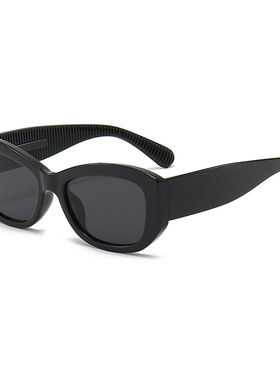 保罗雷朋官网2025秋季新款简约方形墨镜韩版小框网红街拍防晒防紫