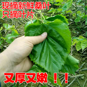 細(xì)節(jié)圖